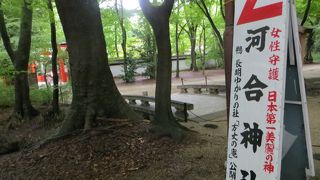 美人祈願の神社。