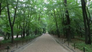 縄文時代からの森だそう。