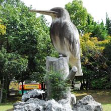 園部公園の啄木鳥