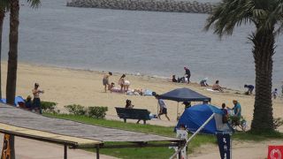 砂浜とヤシの木