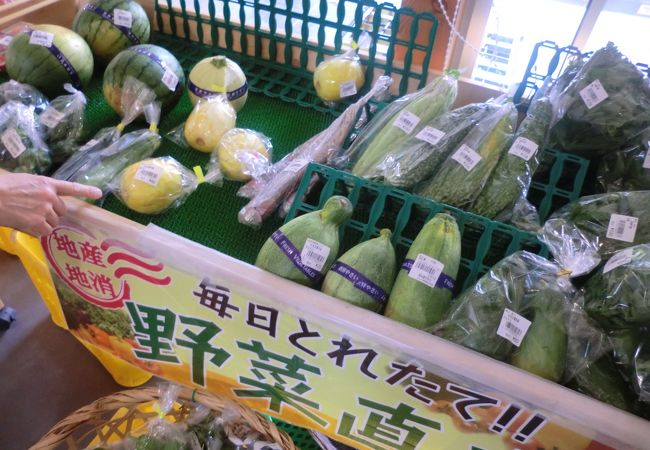 食のアウトレットモール北名古屋 クチコミ アクセス 営業時間 稲沢 清須 フォートラベル