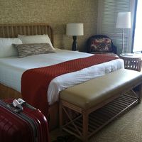 お昼寝チェアーが気持ちよかった