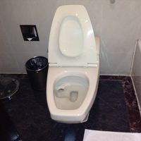 普通のトイレ。