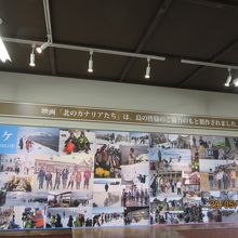 極寒と夏の撮影地とその様子