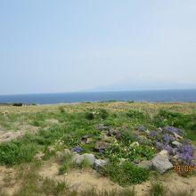 北のカナリアパークの庭から利尻富士を臨む