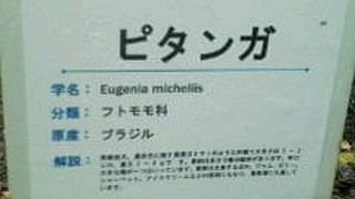 足湯とおさるさんがいます