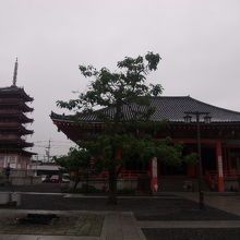 本堂と五重塔の様子