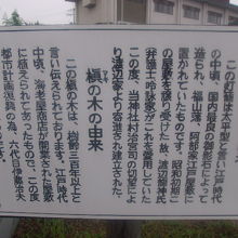 それぞれの解説はこちらで。