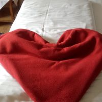 毛布をハートにたたんでお待ちかね