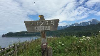 7月初旬は花がいっぱい