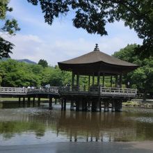 一幅の絵画です