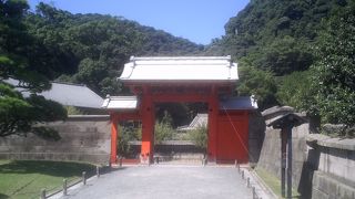 桜島が見えました