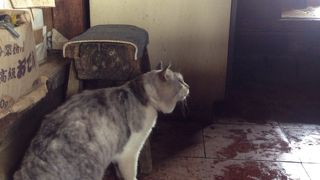 塔ノ岳 山頂 山小屋