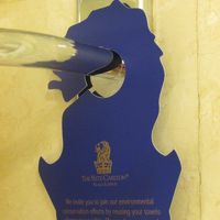 こんなところにライオン