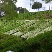 段々畑のような運動公園です。