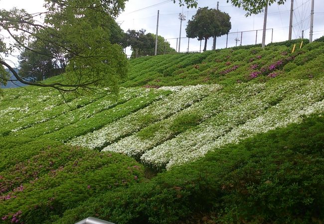 段々畑のような運動公園です。