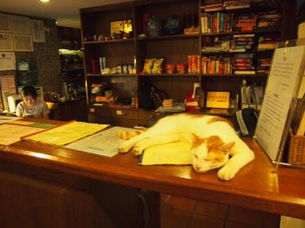 ハイカーユースホステル (上海旅行者青年旅舎) 写真