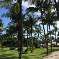 手入れの行き届いた庭