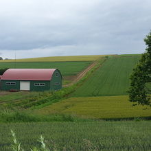 パッチワークのよう