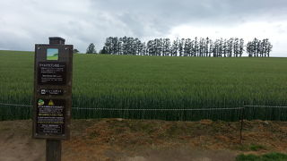 行ってみたかったところでした