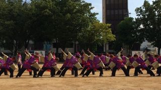 「どまつり」会場にもなっています