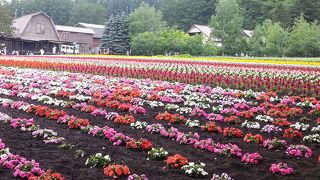 とにかく素晴らしいです