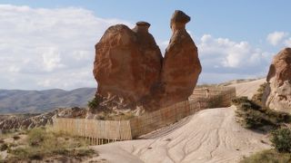 何度見ても、ラクダに見えます！