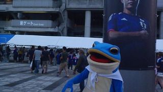 代表戦が増える