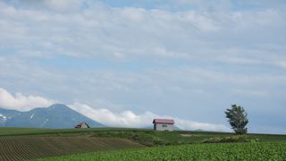 素敵な景色です！