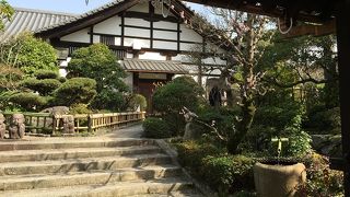 門から見るだけ