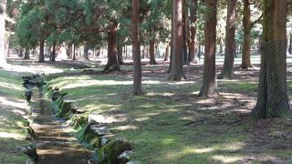 一番好きな公園