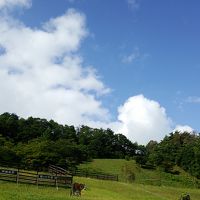 レストランからみた光景です。紅葉もきれいだと思います。