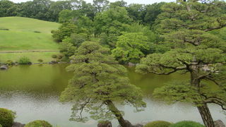 時間を忘れてしまいます