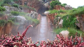 うさぎどんがかわいい