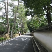 天平文化が散りばめられた歪な環状道路。