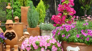 無料で楽しめます。