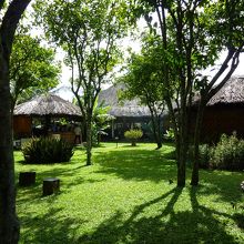 店内は広く、庭には東屋風の小屋もあります