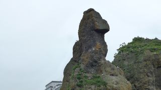 ゴジラに見える