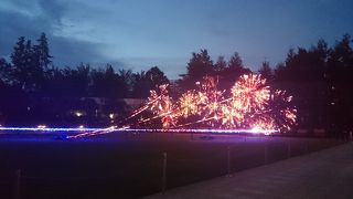 夏のイルミネーションと足水