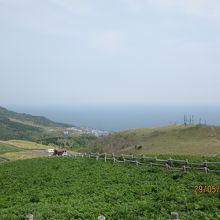 香深港方面と青い海 