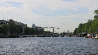 遠くからでしたが、何とか見ることができました