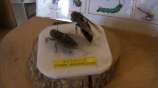 多彩なイベントも開催する帯広の森にある施設