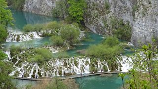 公園内の乗り物は入場料に込みで乗り放題