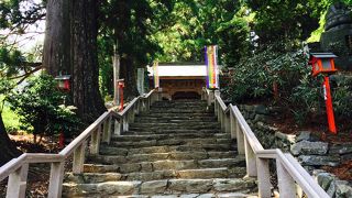 老杉が茂る境内