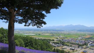 見晴らし最高♪