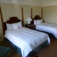 初のカリアタワーです