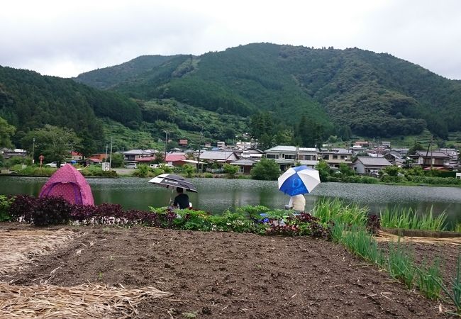 ヘラブナ釣りのスポット