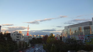 東京タワーとペアで撮影しました