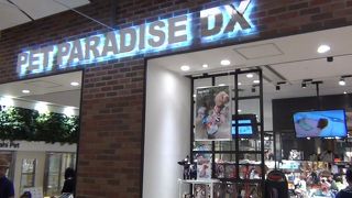 ペット関連、一式揃います