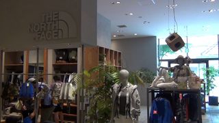 明るい店内、気持ちのいいショップです